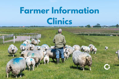 Farmer information clinics. Farmer in field with sheep.